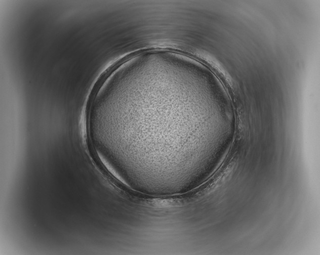 X0000101421032200807211124