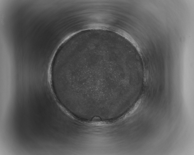X0000101421037200807211124