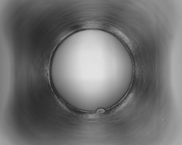 X0000101421041200807211124