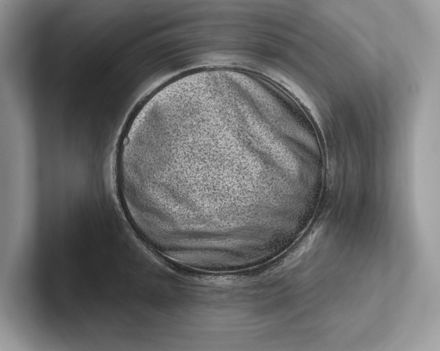 X0000101421045200807211124