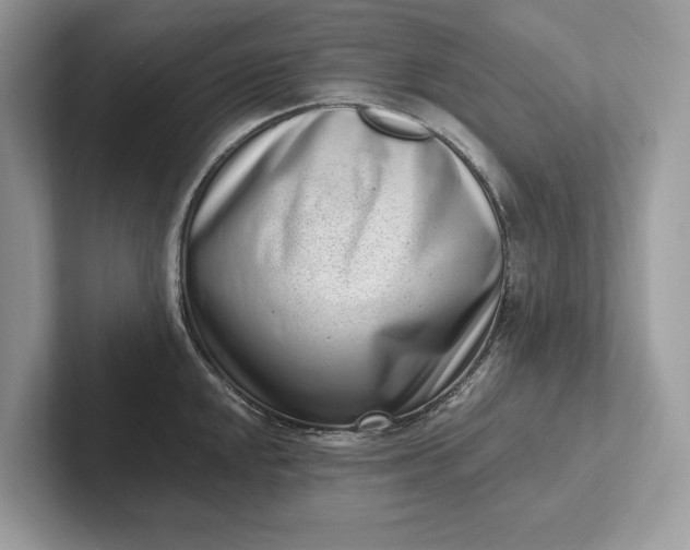 X0000101421048200807211124
