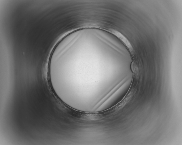 X0000101421052200807211124