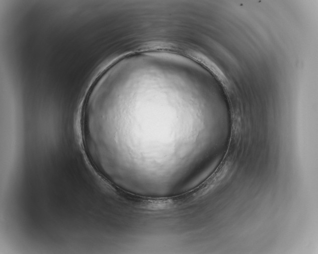 X0000101421055200807211125