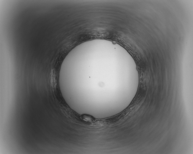 X0000101421058200807211124