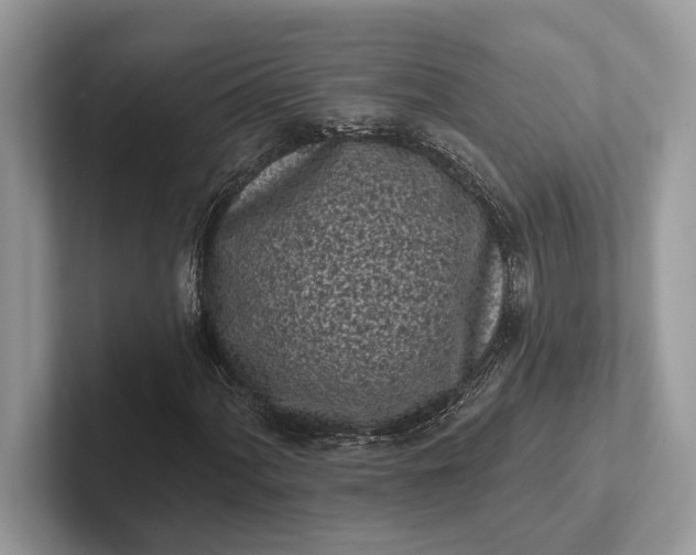 X0000101421060200807211124