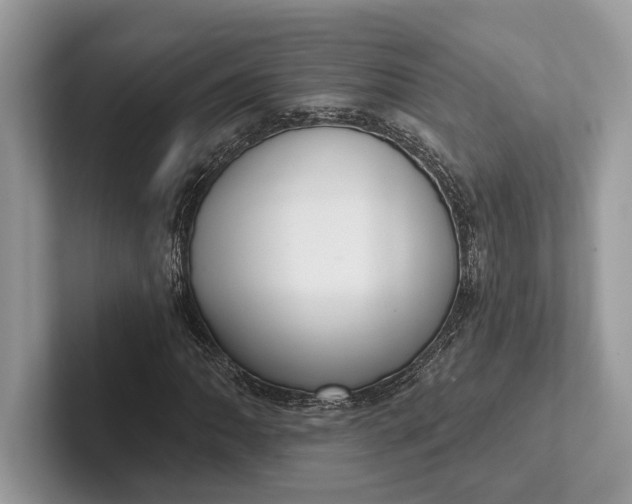 X0000101421062200807211124