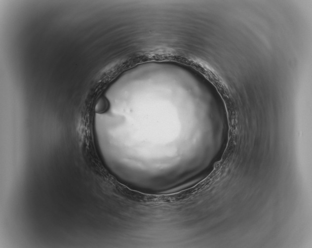 X0000101421063200807211124