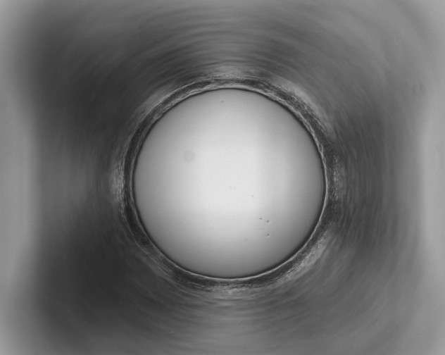 X0000101421065200807211124