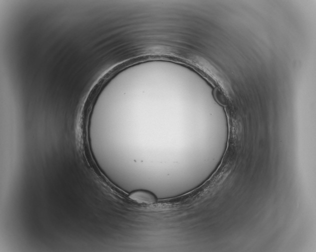 X0000101421068200807211124