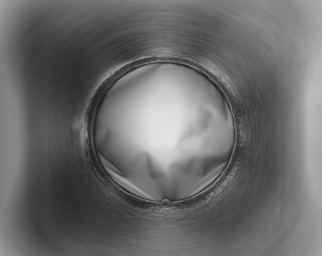 X0000101421070200807211124