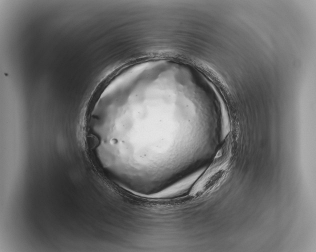 X0000101421071200807211124