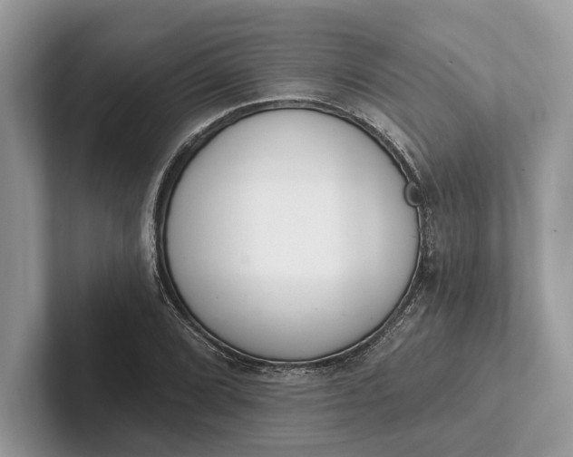 X0000101421072200807211124
