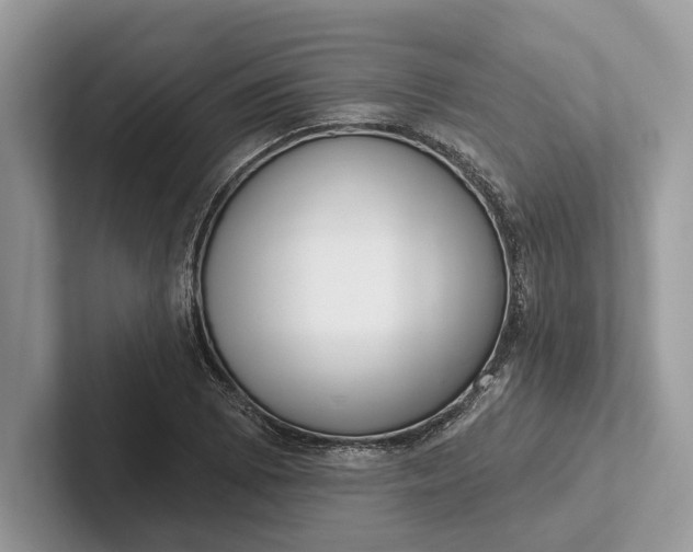 X0000101421073200807211124