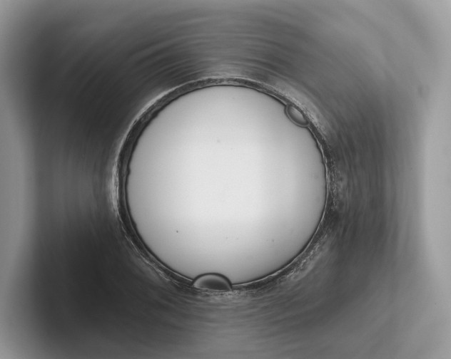 X0000101421076200807211124