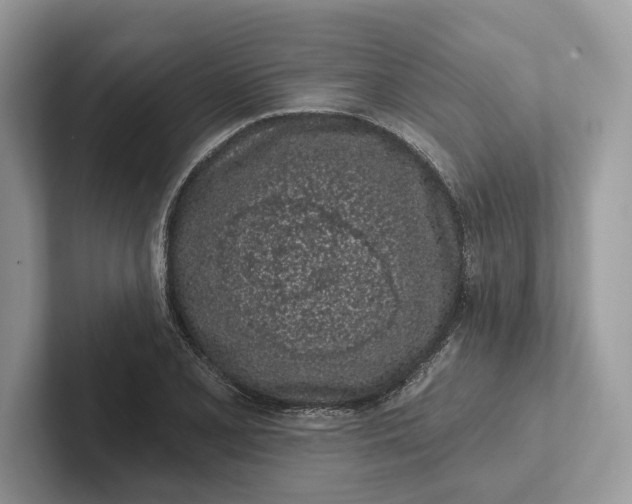 X0000101421077200807211124