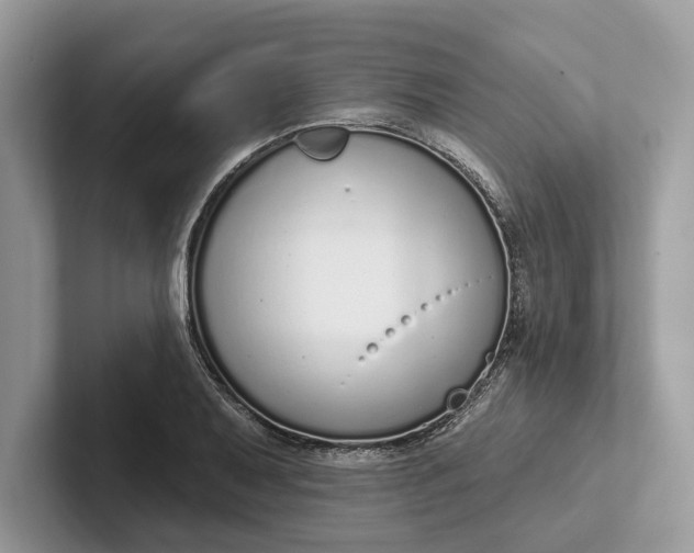 X0000101421079200807211124