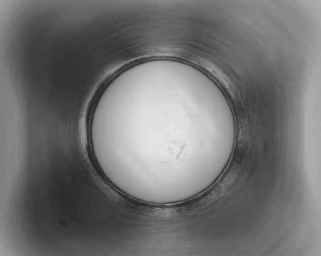 X0000101421080200807211124