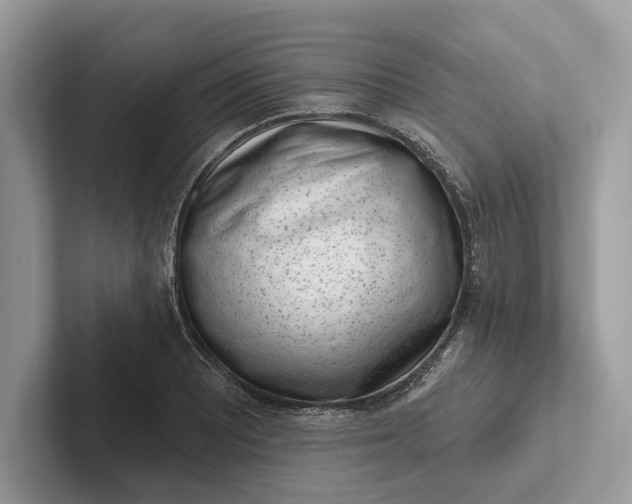 X0000101421081200807211124