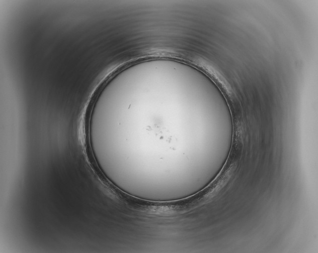X0000101421082200807211124