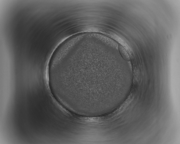 X0000101421084200807211124