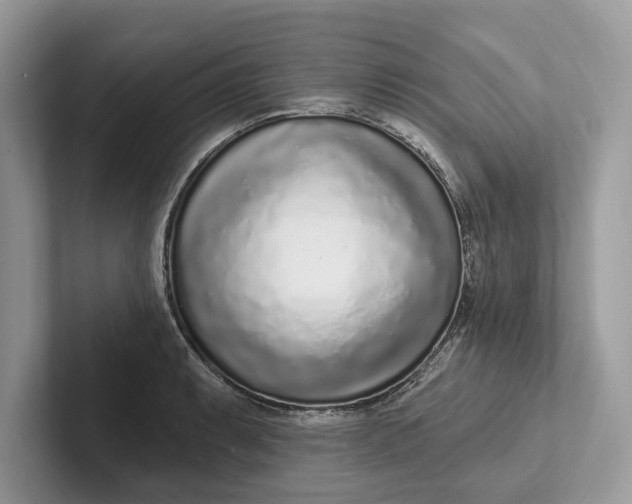 X0000101421087200807211123