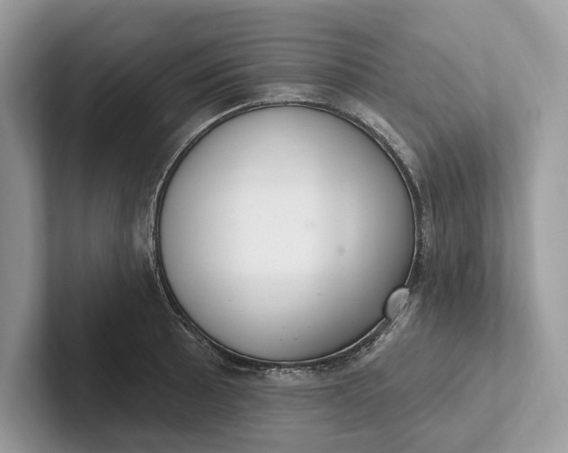 X0000101421089200807211123