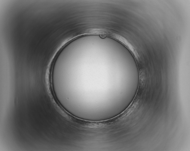 X0000101421091200807211123
