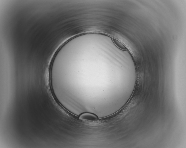 X0000101421092200807211123