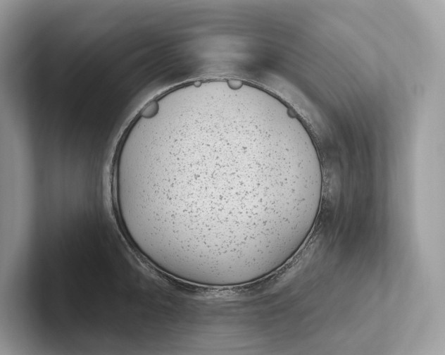 X0000101421094200807211123