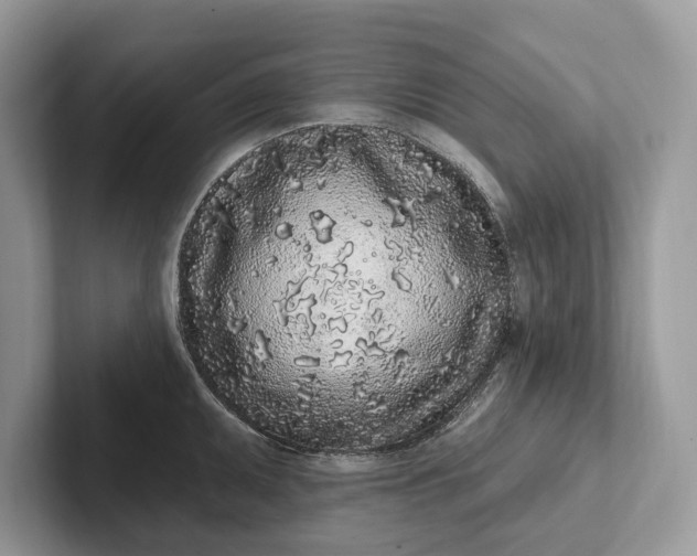 X0000101421095200807211123