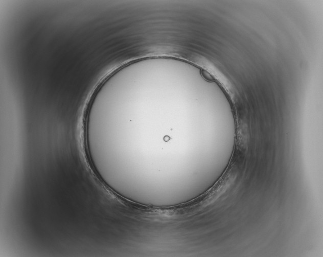 X0000101421096200807211123
