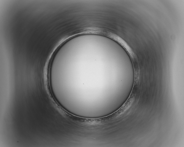 X0000101421099200807211123