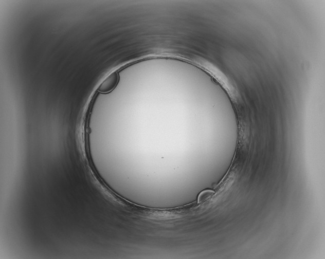 X0000101421100200807211123