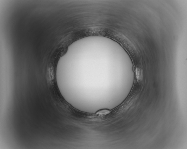 X0000101421107200807211123