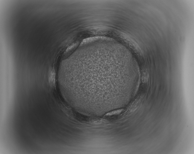 X0000101421108200807211123