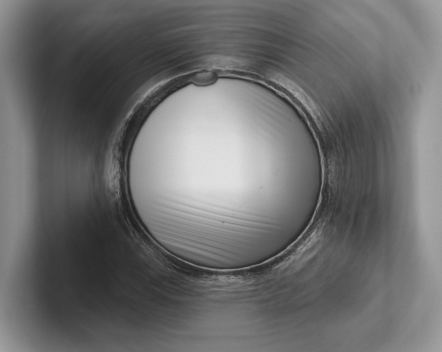 X0000101421115200807211123