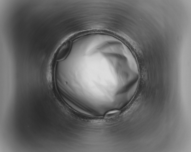 X0000101421118200807211123