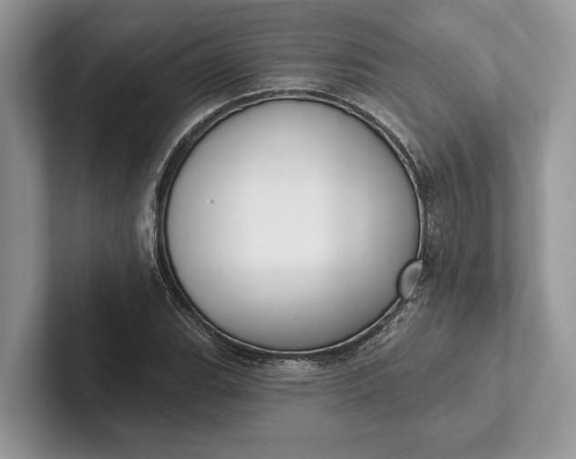 X0000101421119200807211123