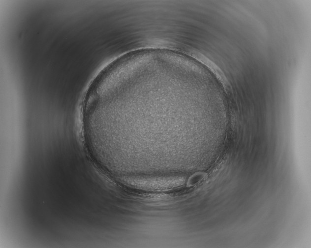 X0000101421120200807211123