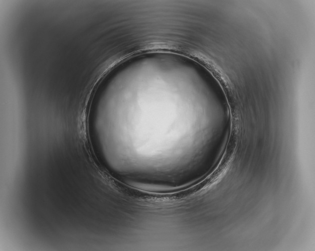 X0000101421121200807211123