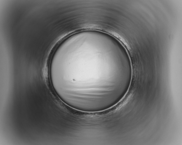 X0000101421125200807211123
