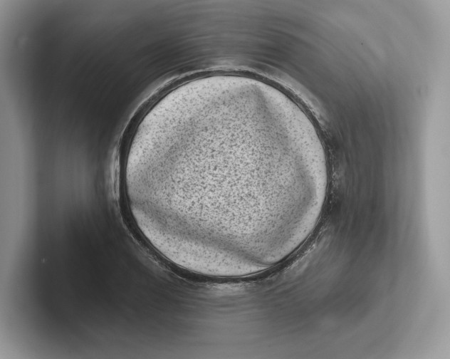 X0000101421126200807211123