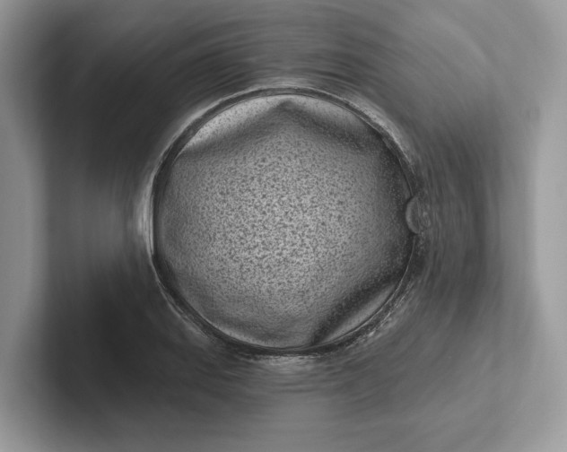X0000101421127200807211123