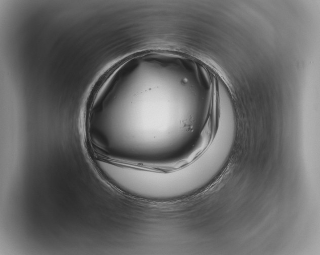 X0000101421128200807211123