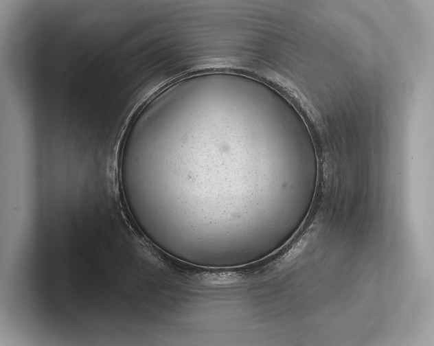 X0000101421129200807211123