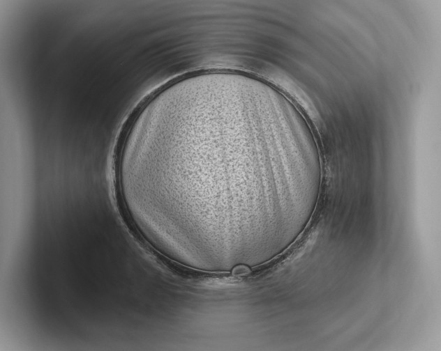 X0000101421133200807211123