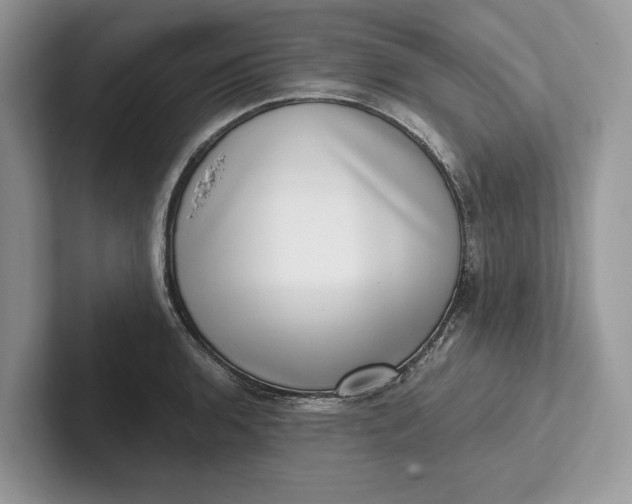 X0000101421136200807211123