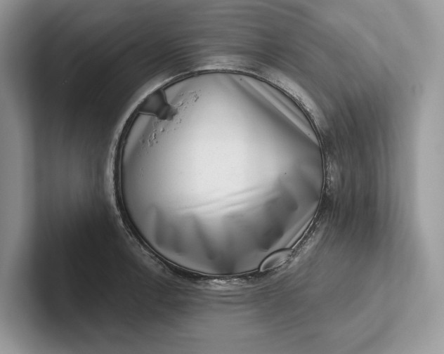 X0000101421138200807211123