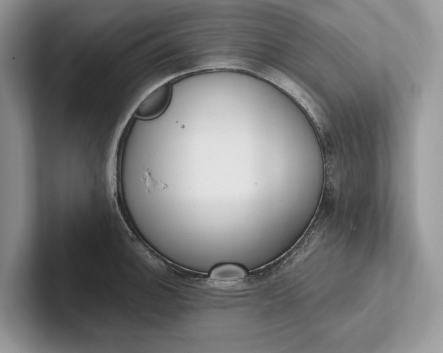 X0000101421140200807211123