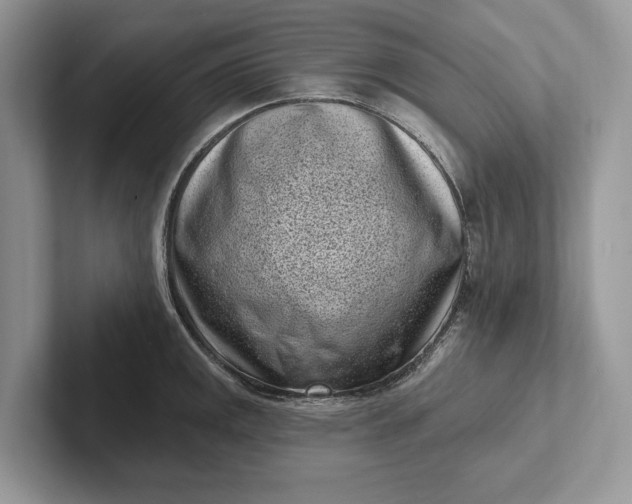 X0000101421141200807211123